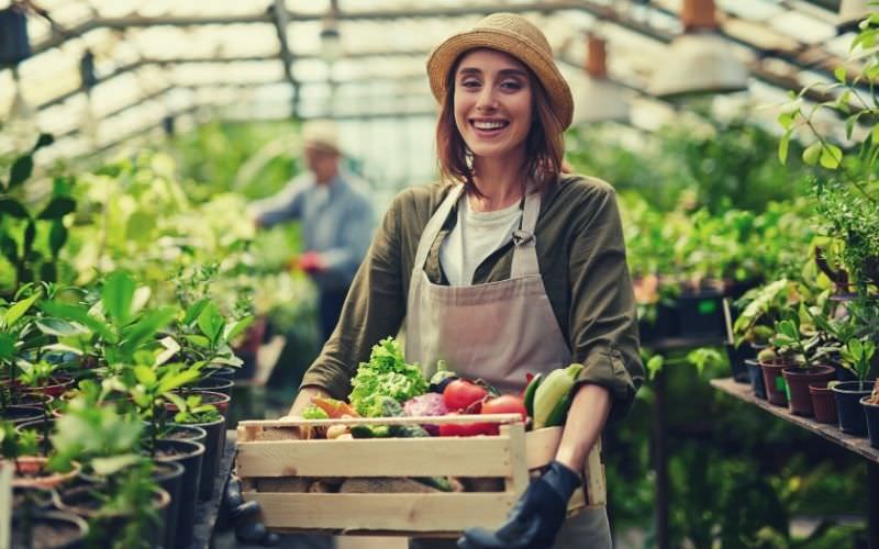 woman holding a basket of fresh picked  vegetables