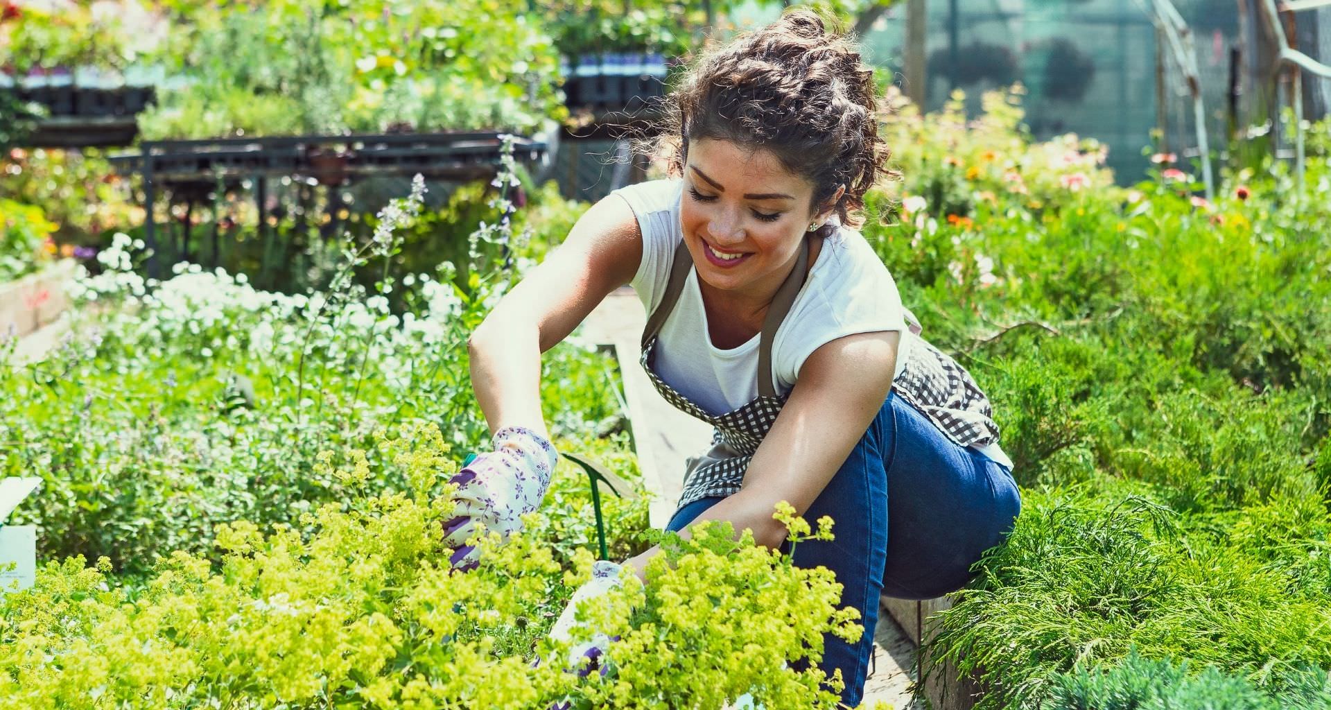 Procommun_Grow-your-own-food-as-a-hobby_featured_image